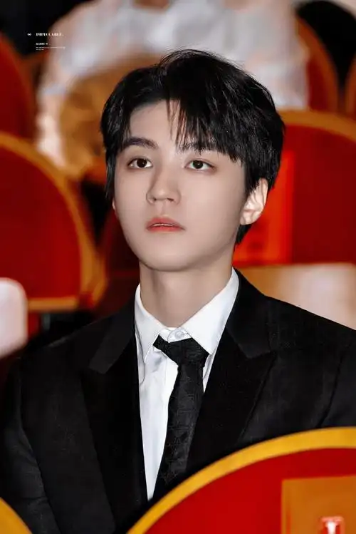 王俊凯电影刺猬##王俊凯电影野孩子