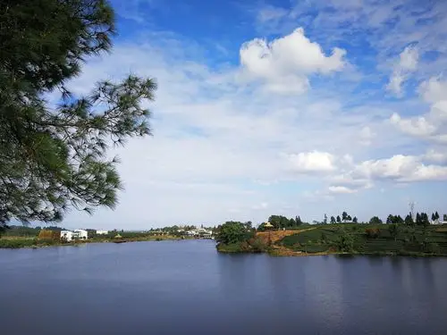 "浪漫茶乡"名山月亮湖
