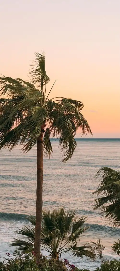 有哪些适合iphone全面屏用的惊艳高清壁纸