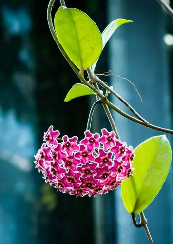 1500_2112竖版 竖屏