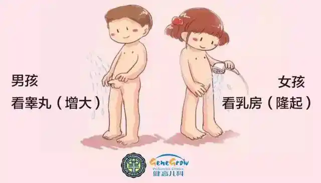 女孩 乳房发育,小阴唇变大,阴毛出现,月经初潮等; 男孩 睾丸和阴茎