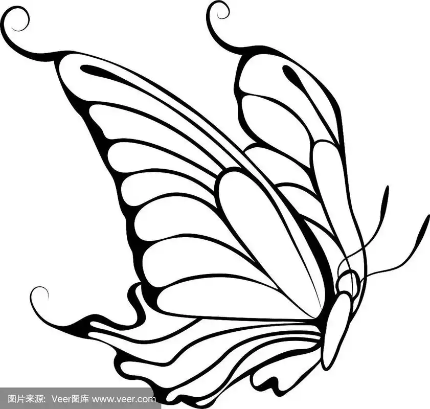 素描的蝴蝶