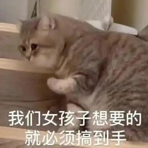 姐妹们需要的表情包