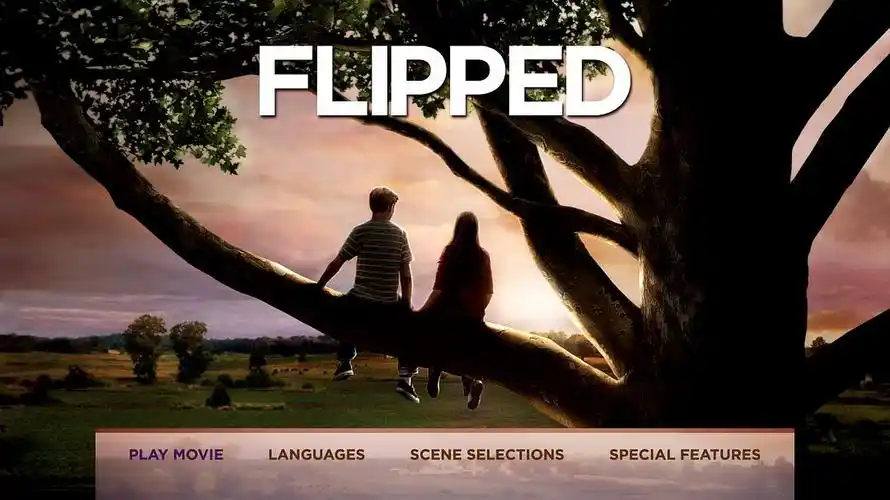 怦然心动美版蓝光大餐