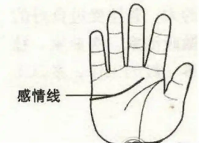 手中三条婚姻线有何说法,会离婚在结婚吗