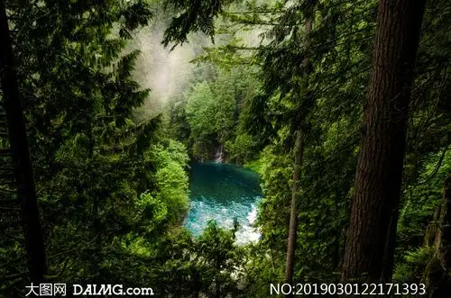 山间的潭水与茂密树林摄影高清图片