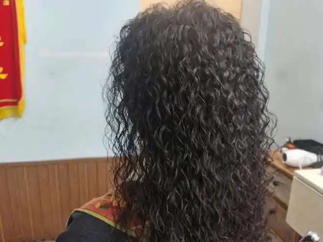 满头烫发小卷2022秋冬烫发