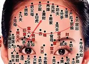 痣长在什么地方好呢