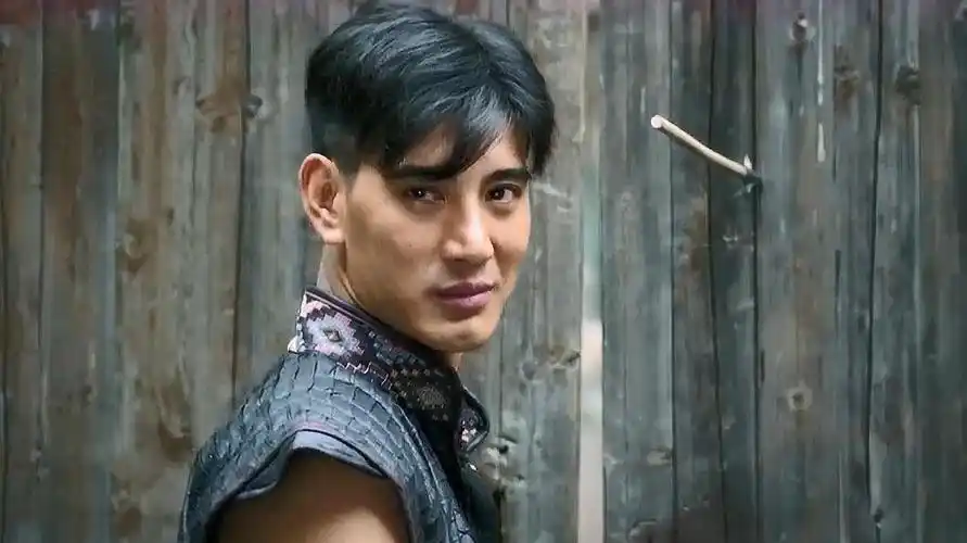 蒲巴甲演艺经历回顾,曾获得第九届全球华语榜中榜杰出歌手奖