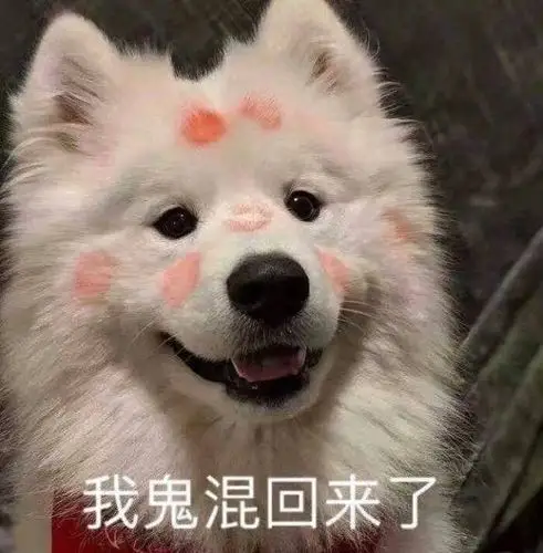 2021413今日份沙雕表情包合集