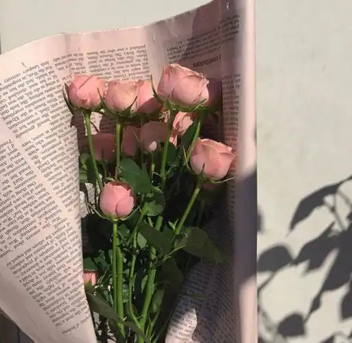 朋友圈背景图|粉色玫瑰