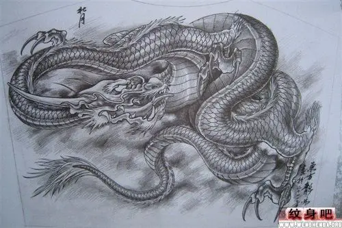 半背黑灰龙纹身图案