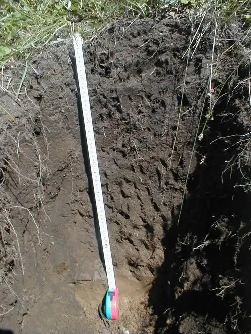 亚高山灌丛草甸土(非生物)