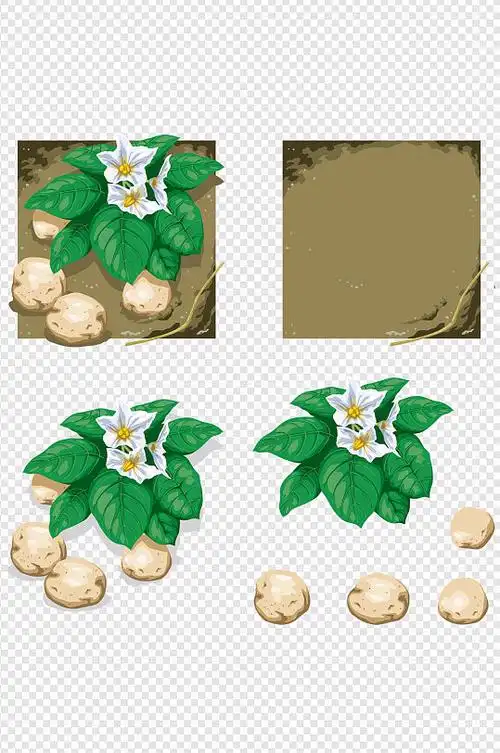 手绘蔬菜土豆素材