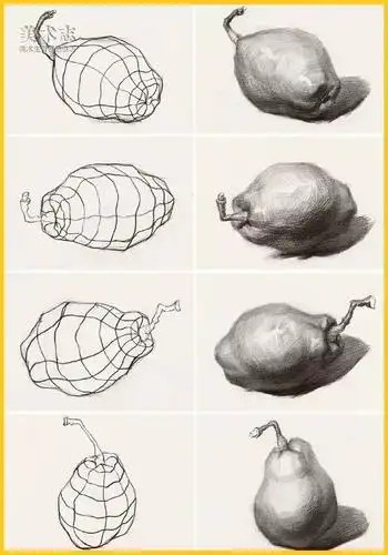 素描教程梨子的绘画技法