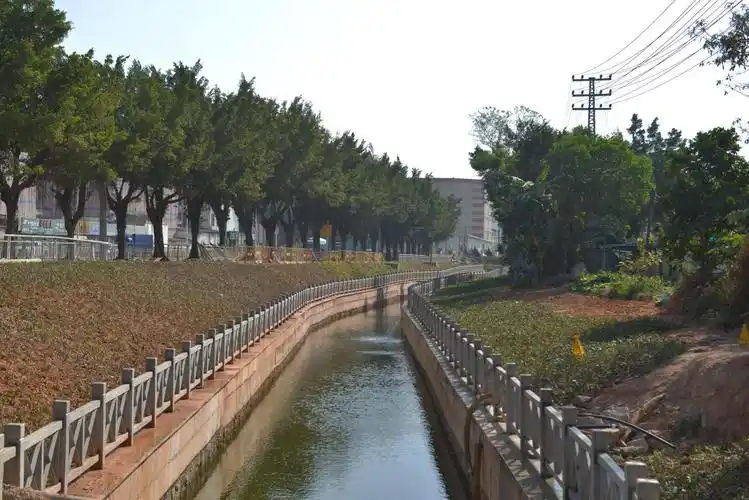 光明区西水渠河道清澈见底沿河景观焕然一新