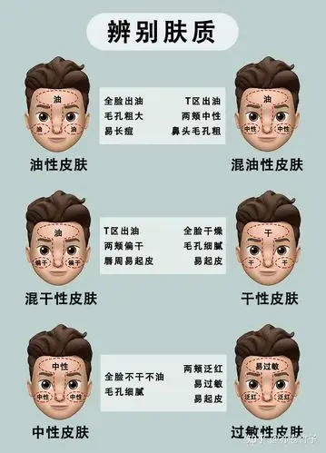 肤质分类