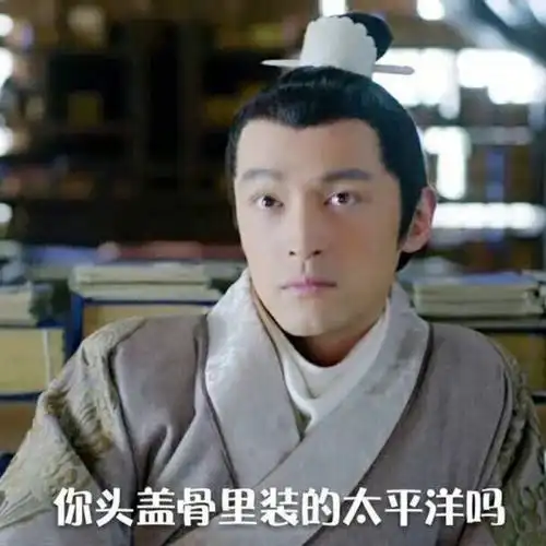 梅长苏琅琊榜表情你头盖骨里装的太平洋嘛