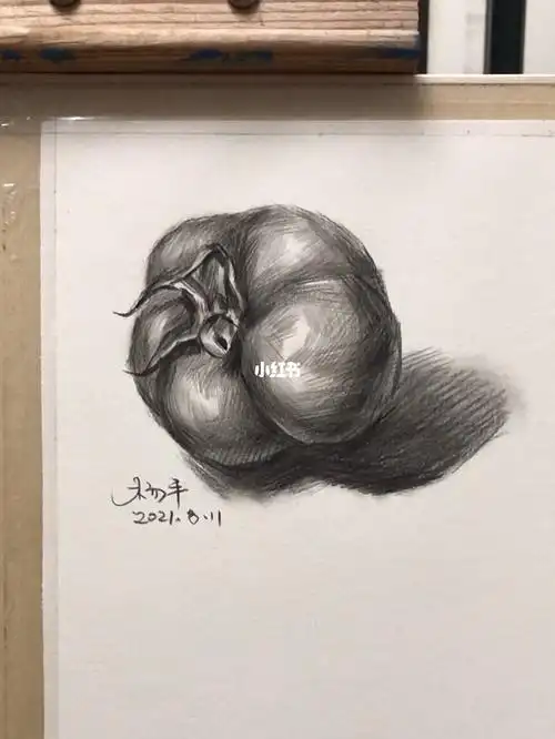 自学素描单个静物第3课西红柿的画法