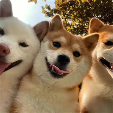 爱头像 - 情侣头像,男生头像,好看的高清女生头像图片