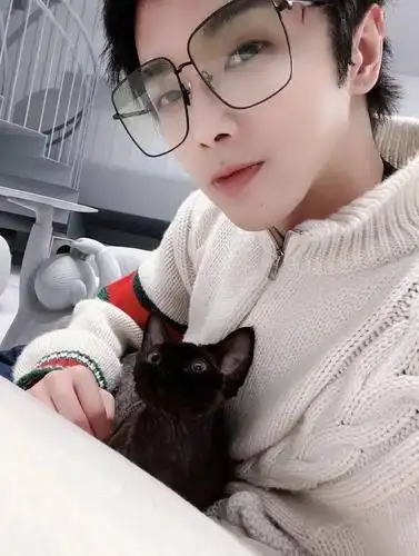 疯了华晨宇的猫居然能转运