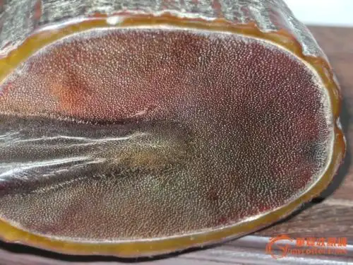 请问这是真的犀牛角吗?_360问答