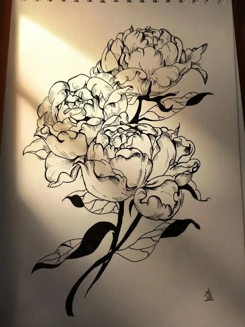 阳光洒在花上,也能照进心里#针管笔手绘 #临摹手绘  - 抖音