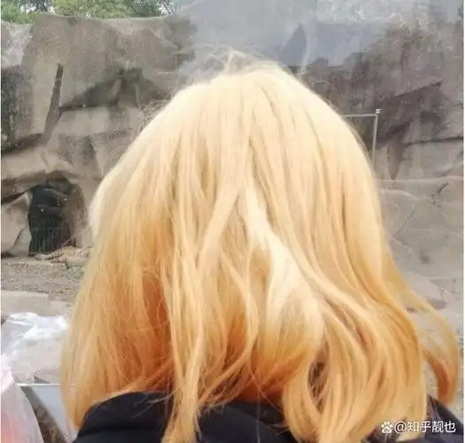 漂头发会掉发吗染头发会不会掉发