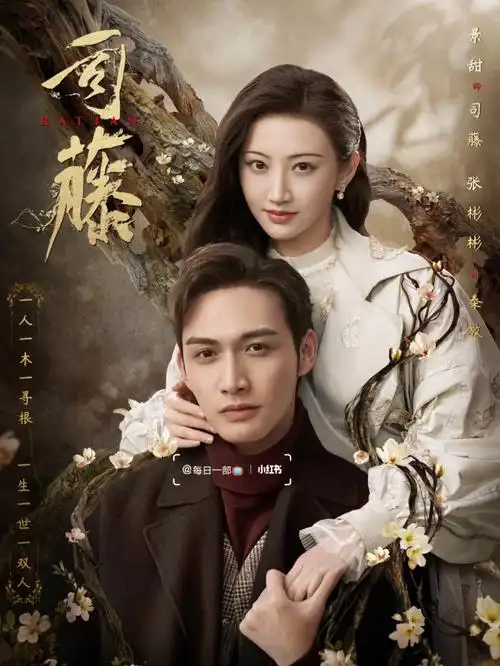 每周一部|电视剧《司藤》