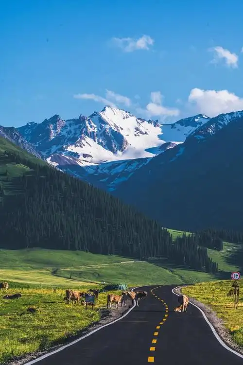 700_1052竖版 竖屏