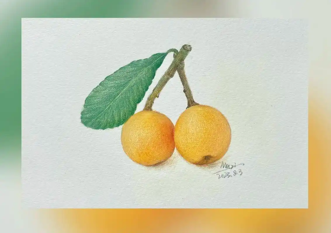 跟着抖音学画画 彩铅水果④枇杷#彩铅画画入门教程 #一学就 - 抖音