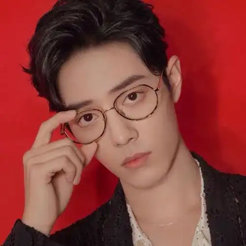 肖战同款时尚芭莎fixxative眼镜椭圆形平光太阳墨镜男女可配近视