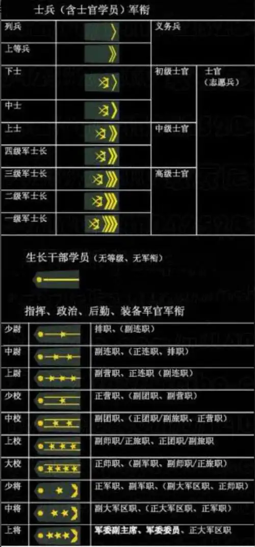 191224蜜蜂时刻关注夏拙成长新兵夏拙已晋升为上等兵
