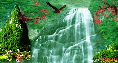 407_220gif 动态图 动图