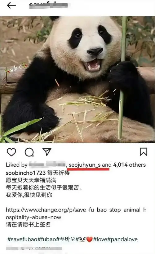 徐贤点赞请愿福宝被虐待的帖