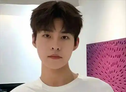 四六分微分碎盖,小鲜肉必备款发型_自然_男生_长度