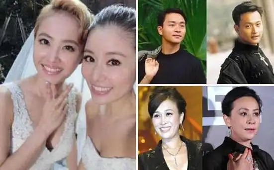 蔡依林与林心如长得像(娱乐圈失散多年的)(1)