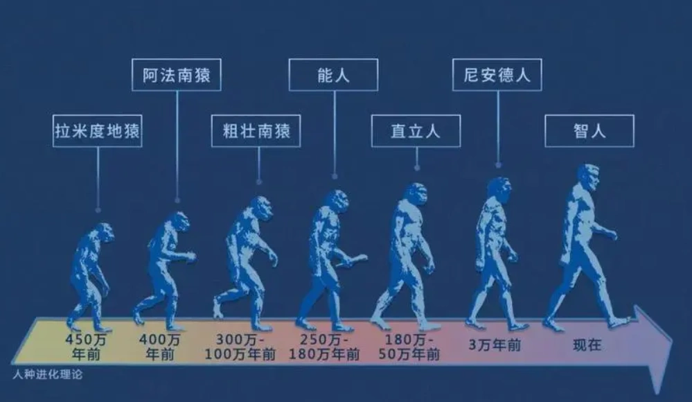 科学家:人类是从鱼进化来的,化石为证,揭秘鱼到人类的进化过程