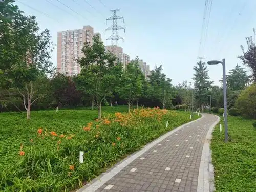 部分步道通过改造后,更换为陶瓷透水砖路.