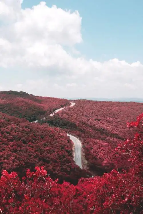 现实风景-花瓣网|陪你做生活的设计师 | #摄影