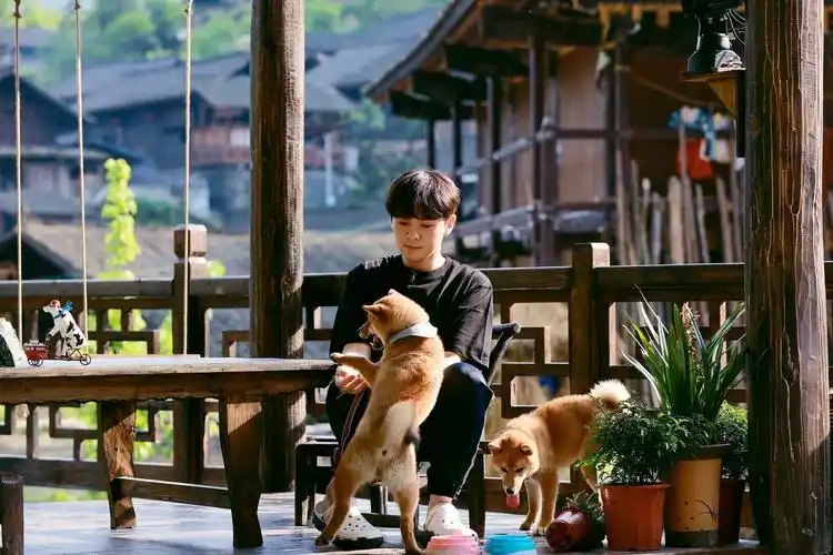 向往的生活第三季