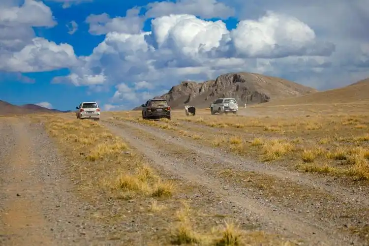 游走藏北无人区.措勤