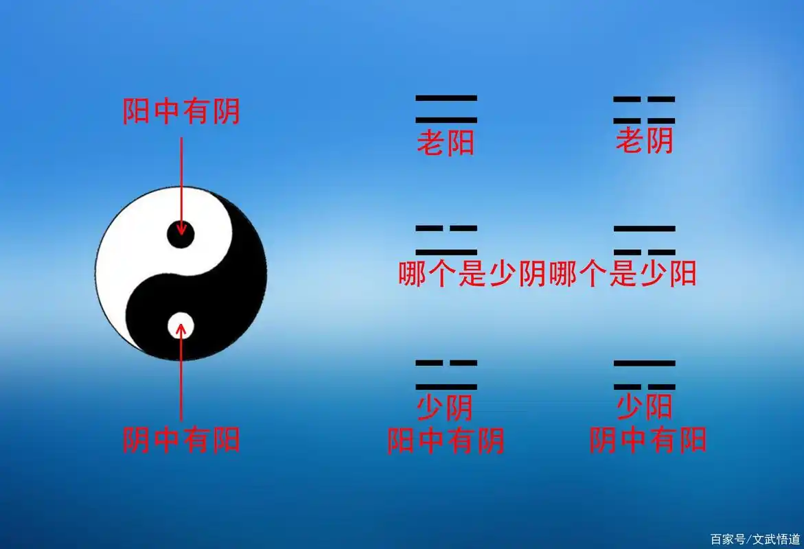 小白学《易经》:记不住四象卦(图)形引发的思考(第二课)