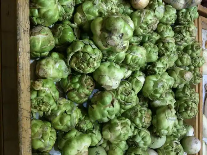 请问大家这是个什么蔬菜?