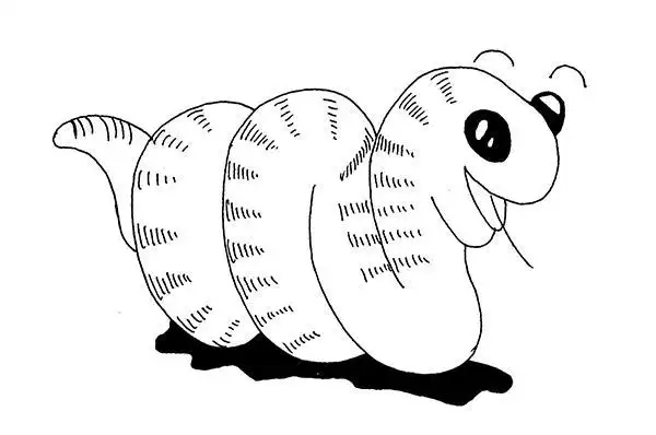 冬眠苏醒的动物简笔画