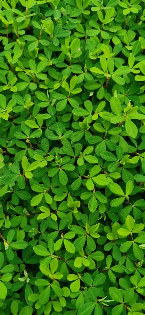 原图屏保拿去吧