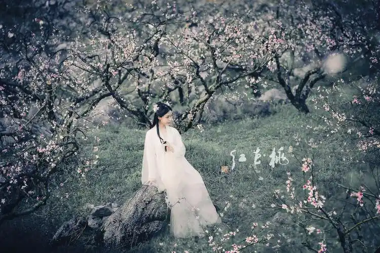 烟雨江南醉桃花