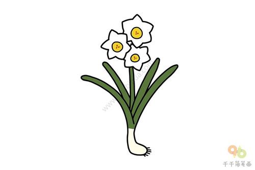 水仙花简笔画 轻松学会