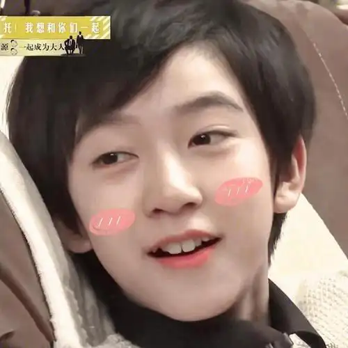 时代少年团贺峻霖幼崽时期图片