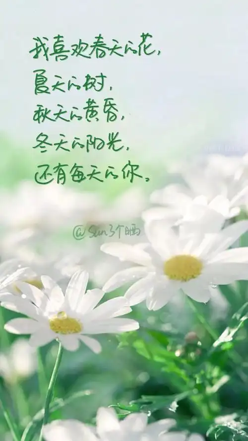 文字与壁纸在一起棒棒哒 唯美 情感 语录 壁纸